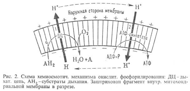 3504-62.jpg